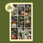 Matcha and Books Canva Templates Bundle | Animated Bookstagram | Reel Covers | Highlight Covers | Bookish Instagram